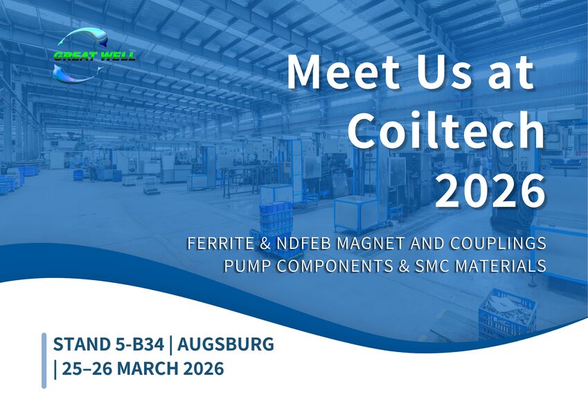 الجمعية المغناطيسية الدائمة المخصصة