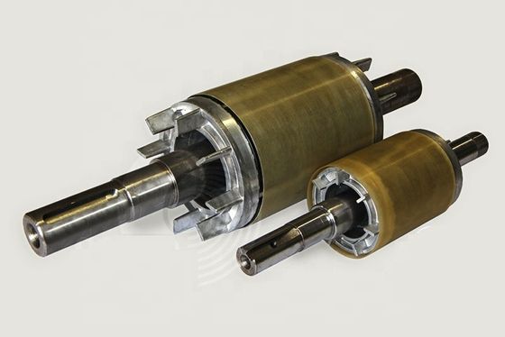 REACH AlNiCo Rare Earth Neodymium Magnet , Steel Shaft Multipole Magnet Rotor